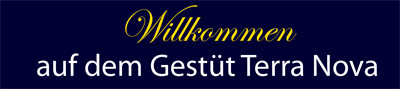 willkommen